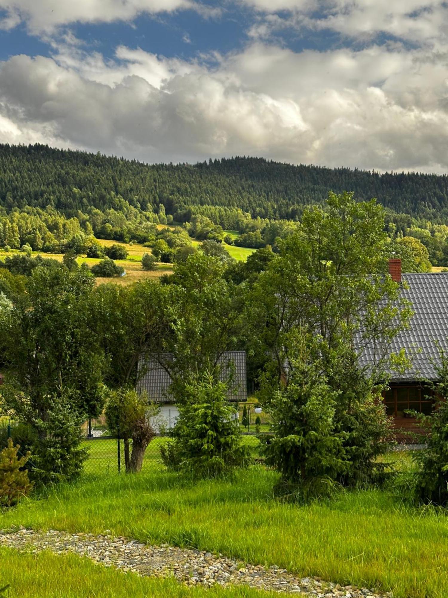 Black Deer - Z Sauna Na Tarasie, Jacuzzi I Widokiem Na Gory - By Deer Hills Luxury Apartments Kocon Esterno foto